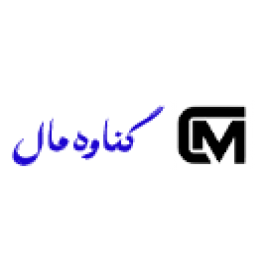 اتو بخارگر
